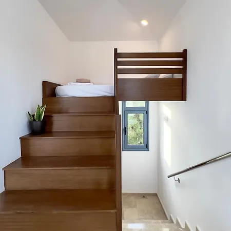 Coral Azure 파포스